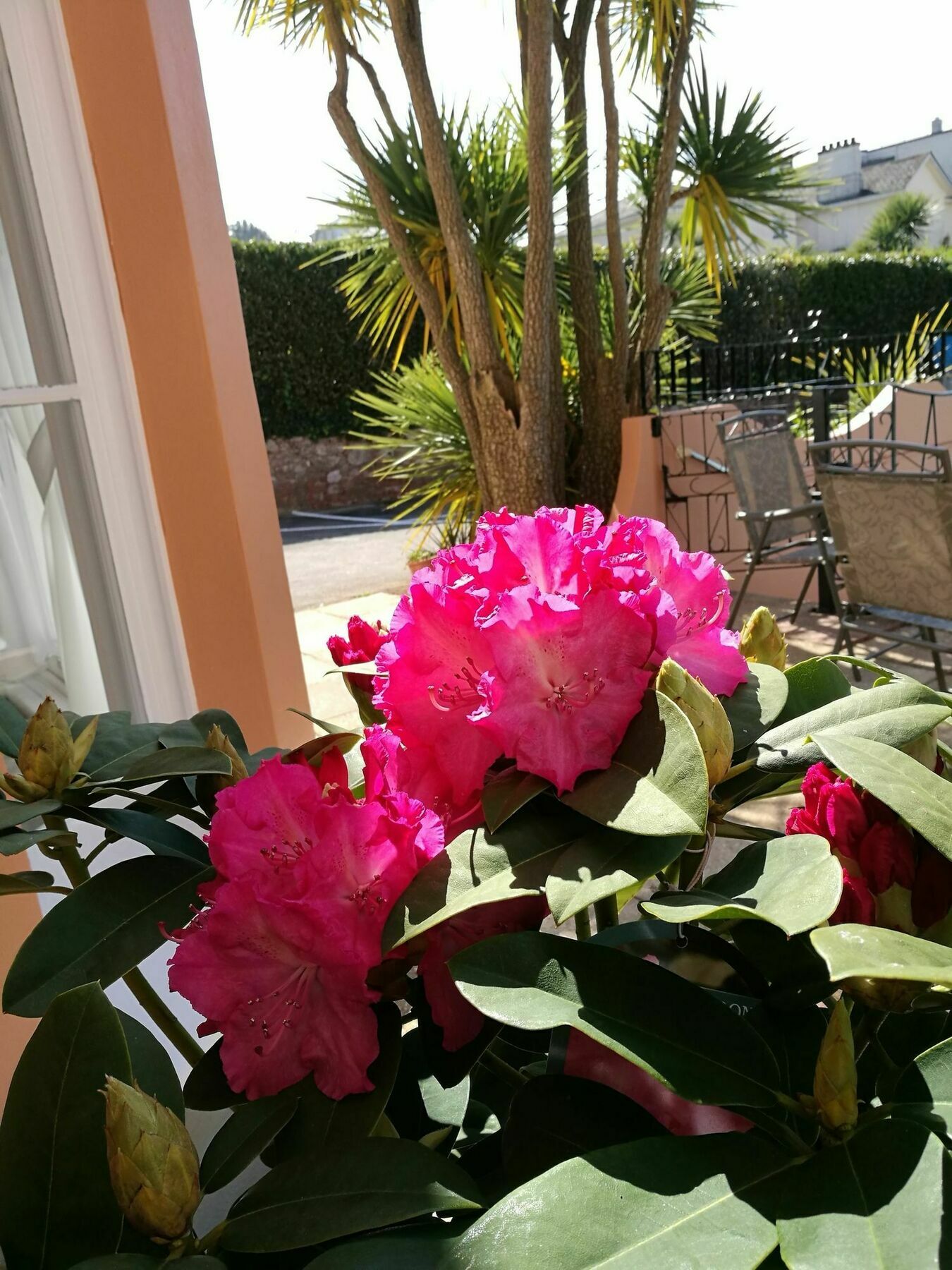 The Devon Court Hotel Torquay Bagian luar foto